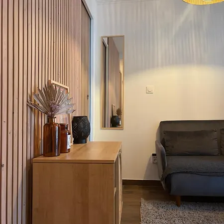 Apartment 20 Sqm With Bedroom Near Montmartre