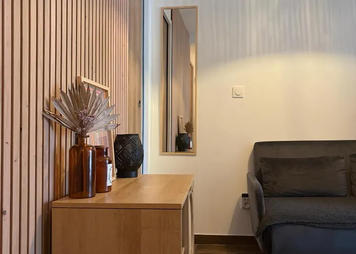 Apartment 20 Sqm With Bedroom Near Montmartre